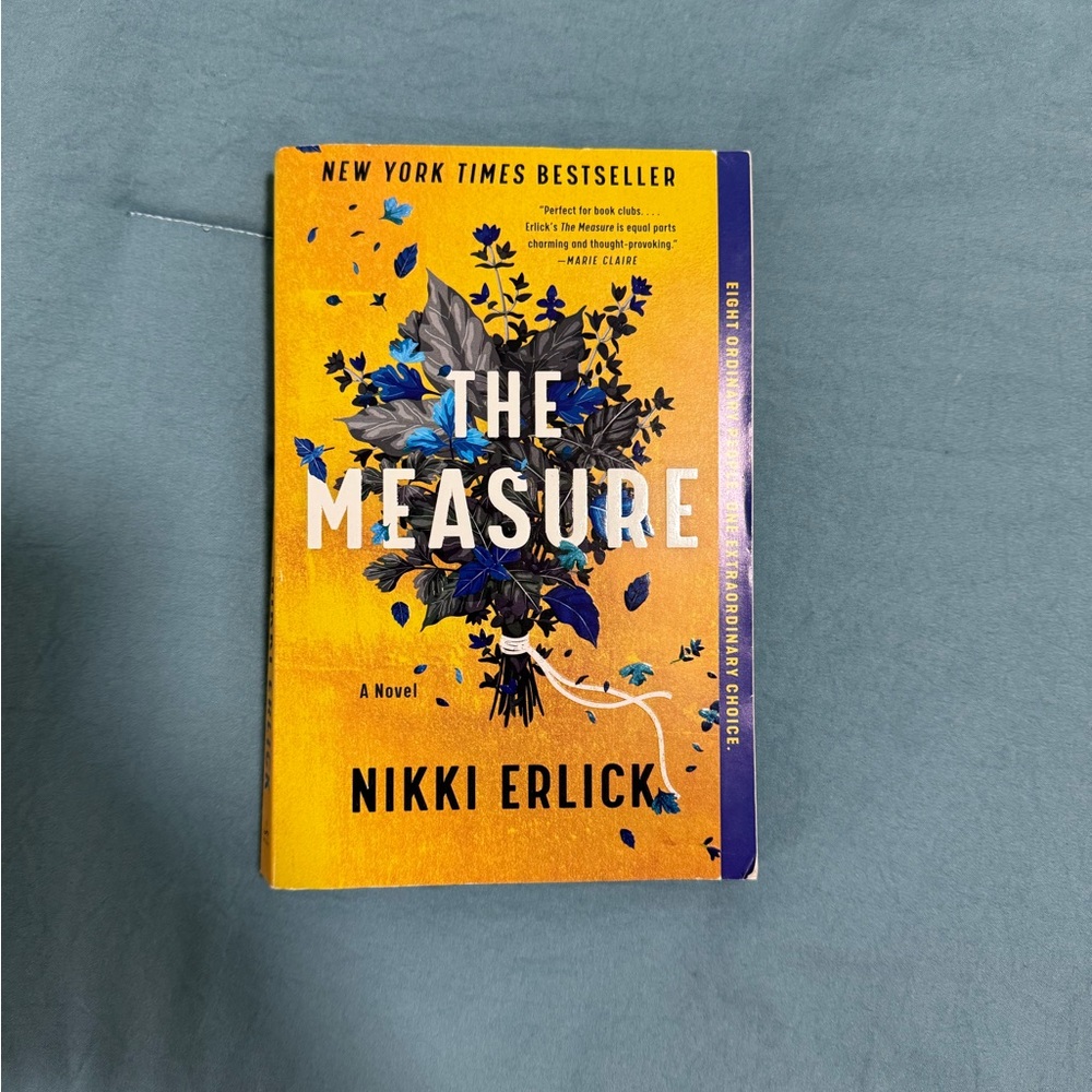 The Measure by Nikki Erlick